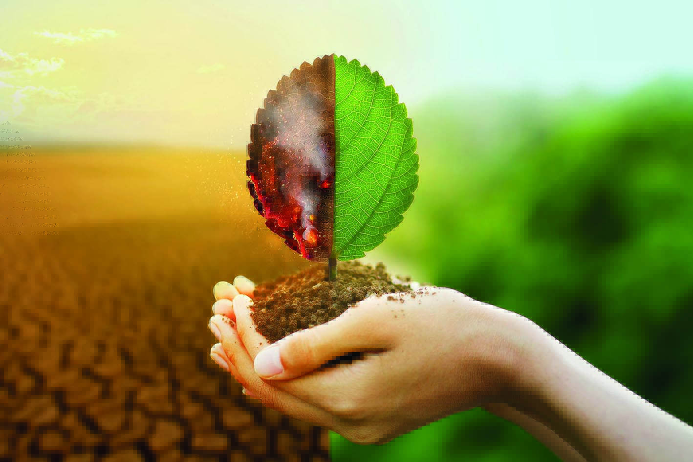 İklim Değişikliği ve Aşırı Hava Olayları: Doğanın Çetin Öfkesi