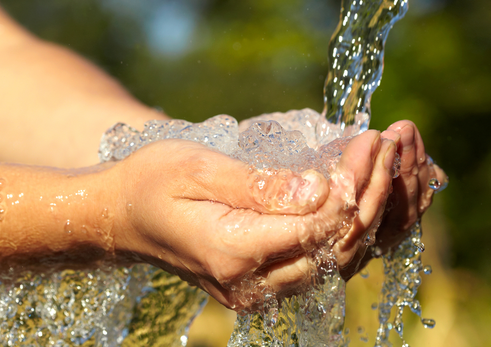 Dr. Yaşam Ayavefe: Suyun Canlı Hayatındaki Önemi